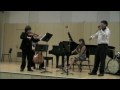 clip video Zhao Maximin