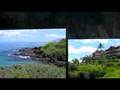 Maui Animoto