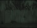 video taken when my house and yard were infested with 25 rats a couple of summers ago.  we named the first rat 