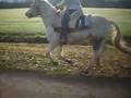 videos de quicky 