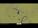 PixelJunk(TM) Eden \"Zero Pollen Wasted\" Run PixelJunk(TM) Eden \"Zero Pollen Wasted\" Run