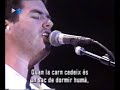 NOFX - Hot dog in a hallway (live Dr. Music Festival \ NOFX - Hot dog in a hallway (live Dr. Music Festival \