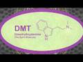 videos de Joe Rogan on DMT to DnB