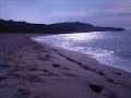 Navia Navia