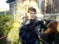 Un cavallo istigato al suicidio