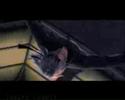 last kingdom hearts last kingdom hearts