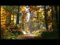 aequitaS feat. StrawbellyCake - Rakia & Valas