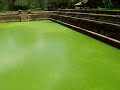 Green Pond