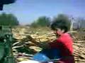 videos de JUJUY- RIO BLANCO-Miel de Caña