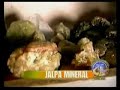 Historia de Jalpa