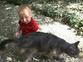 charlie-et-son-univers-de-chat.html