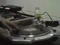 dj starscream  #0 sid slipknot    phase two backstage