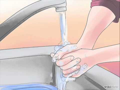 how to avoid ebola virus