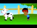 Vellai Kandru kutty