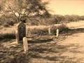 Southern Birthright