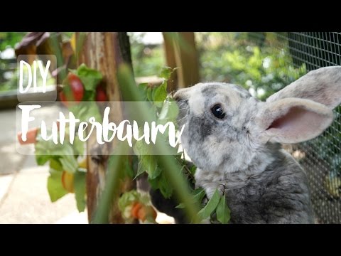 DIY Futterbaum