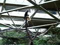 some-funny-monkeys.html