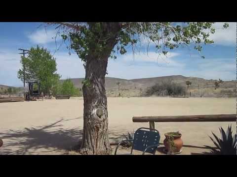 horses grand national