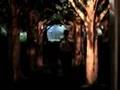 submitted by petersburgwebmaster on Mon May 19 2008 at 03:40am