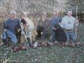 Pheasants everywhere - south dakota hunting Pheasants everywhere - south dakota hunting