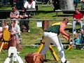Wood Chopping 225mm Standing Block at Perth Royal Show 2007