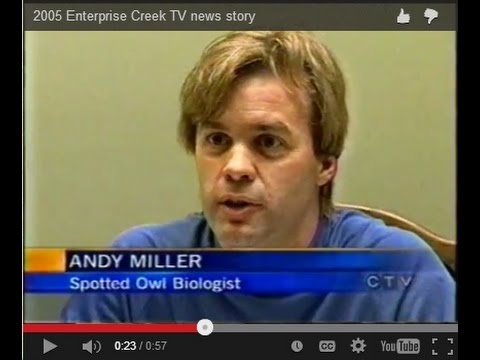 See video See video