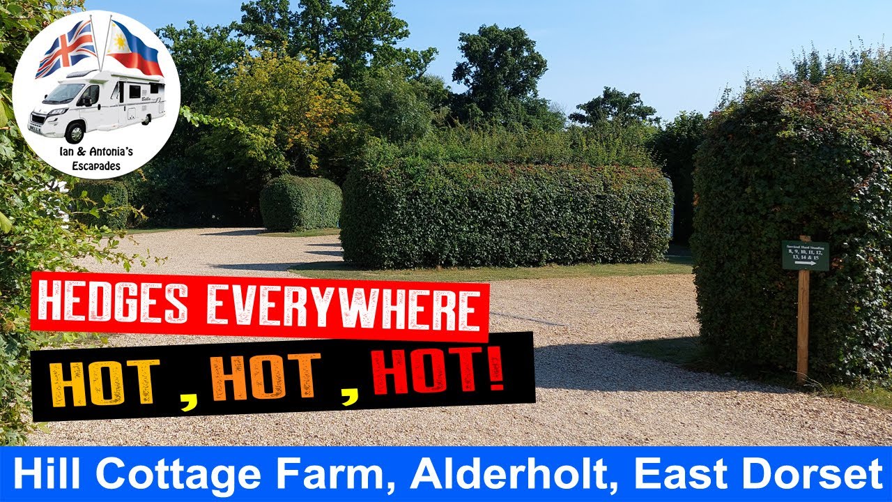 Hill Cottage Farm Camping and Caravan Park - HOT, HOT, HOT!