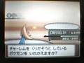 PKMN Platino:Top Trainer Cafe.1-VS Maylene y Volkner