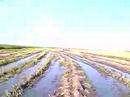 video_30_jeebom