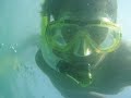 oceano blu yo