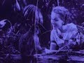 Joseph Cornell - Rose Hobart (1936) Joseph Cornell - Rose Hobart (1936)