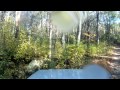 Video screenshot