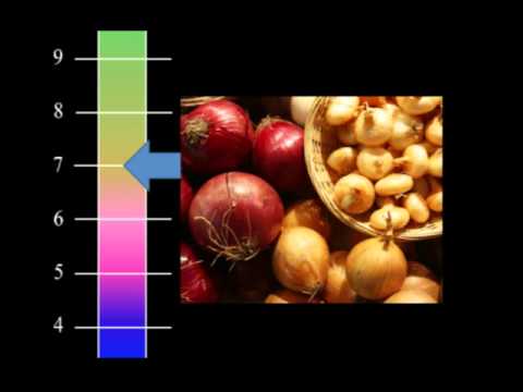 how to fertilize old soil