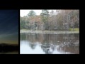 Cape Fear Indians from pre-history to 1520