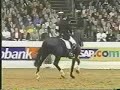Horses-Jumping and Dressage