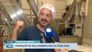 Fábrica em Marília: Produção de gelo dobrou nos últimos dias