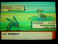 shiny gastrodon with pokeradar