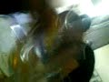 flor grocera