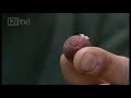matt hayes carp fishing episode 9 matt hayes carp fishing episode 9
