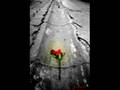 m�sl�m g�rses nil�fer