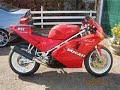Bella Ducati Bella Ducati