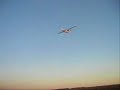 aeromodelo Cessna 182 AMB