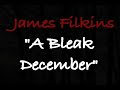 a bleak december  james filkins