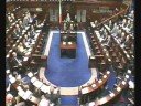 Dail Eirean Debate Part 2 (Voice Over)