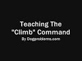 Adam Katz Training Dog To Climb On A Post, Part I