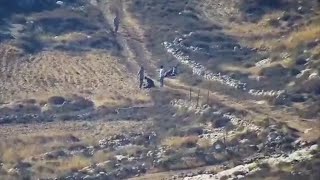 Wadi Rahal, Bethlehem District: Israeli settlers attack Palestinians working farmland