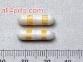 zyrtec celebrex