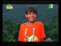 MBC3 - Safari - Fawn Thai
