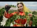 Latif Öz Nevşehir Türküsü Kapadokya