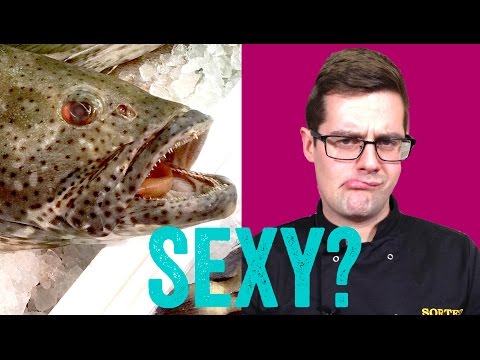 Can Fish Be Sexy?